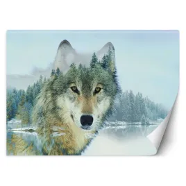 fototapeta-3d-wilk-i-jezioro-las-drzewa-450x315