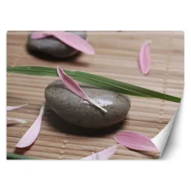 fototapeta-kamien-i-platki-kwiatow-450x315