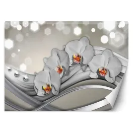fototapeta-orchidee-i-fale-100x70