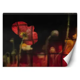fototapeta-czerwony-kwiat-maku-450x315-geometria