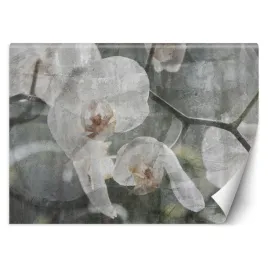 fototapeta-orchidea-zdjecie-vintage-200x140