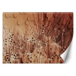 fototapeta-dmuchawce-w-kroplach-rosy-200x140