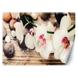 fototapeta-orientalna-3d-orchidee-zen-450x315