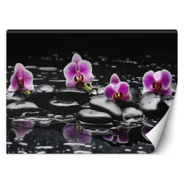 fototapeta-orient-kamienie-zen-i-orchidea-450x315