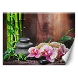 fototapeta-orient-3d-storczyk-z-bambusem-250x175