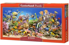 puzzle-4000-el-underwater-life
