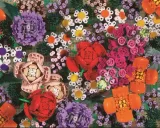 puzzle-1000-chronicle-book-lego-brick-botanicals-kolekcja-superpuzzle-pl