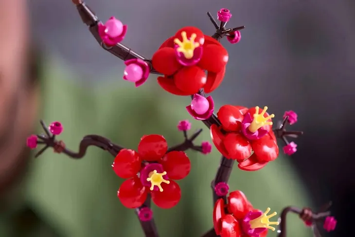 lego-botanicals-10369-japonska-morela-minimalny-wiek-dziecka-18