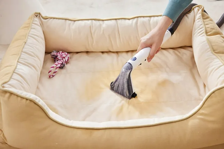 tineco-icarpet-spot-zasieg-pracy-6-m