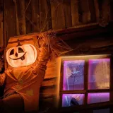 tp-link-light-strip-tapo-l920-5-multicolor-certyfikat-ce