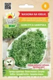 kielki-gorczyca-sarepska-30g
