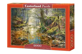 puzzle-2000-el-reminiscence-of-the-autumn-forest