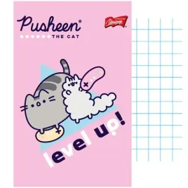 pusheen-zeszyt-notes-notatnik-szkolny-a6-50k-laminowany-majewski-kotek