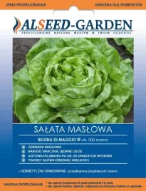 salata-maslowa-regina-di-maggio-smaczna-jedrne-liscie-nasiona-holenderskie