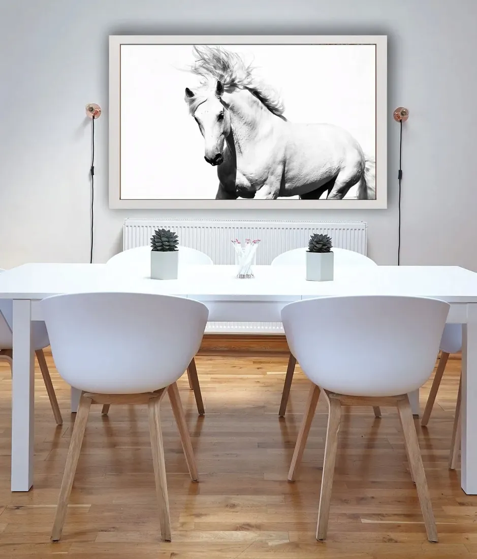 arabski-kon-plakat-100x70-cm