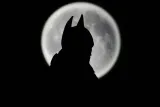 batman-moon-plakat-60x40-cm