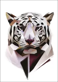 bialy-tygrys-plakat-20x30-cm