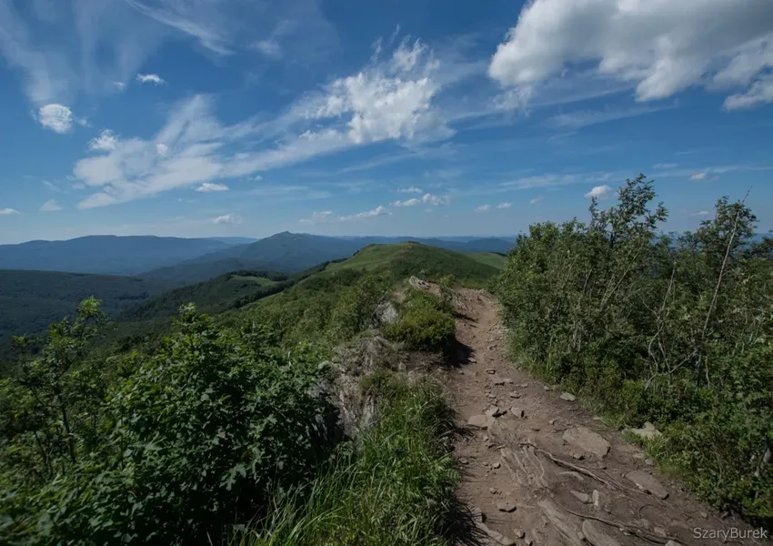 bieszczady-plakat-80x60-cm