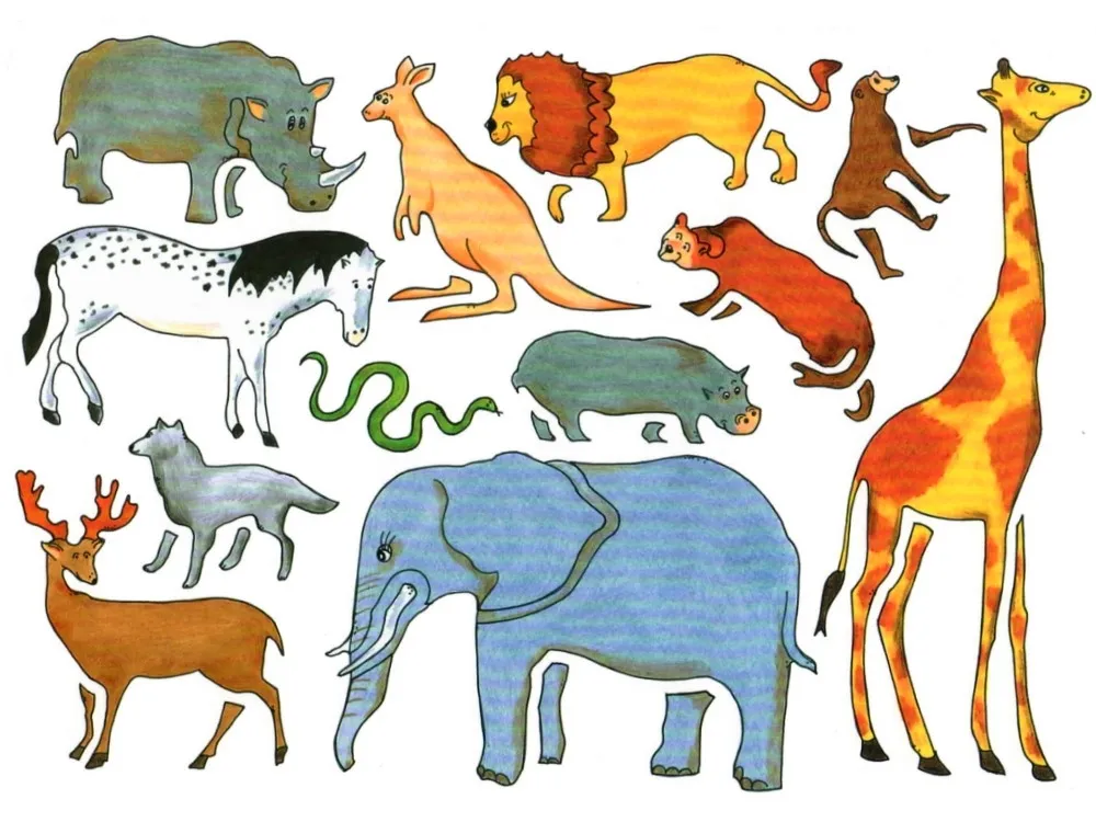 szablon-kin-a4-safari-stan-nowy