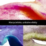 farby-akwarelowe-kuretake-gansai-tambi-granulating-colors-2-pojemnosc-3-ml
