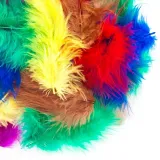 piorka-dekoracyjne-basic-stan-nowy