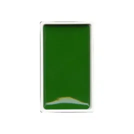 farby-akwarelowe-kuretake-gansai-tambi-058-sap-green-deep