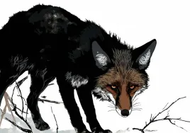 plakat-100x70cm-nieufny-lis