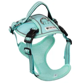 szelki-ze-smycza-pj065-mietowy-dla-psa-100-140-cm-regulowane-xl