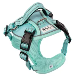 szelki-ze-smycza-pj049-mietowy-dla-psa-48-63-cm-regulowane-xs