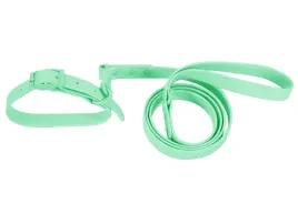 smycz-i-obroza-pj069-zielony-wodoodporna-dla-psa-s