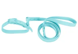 smycz-i-obroza-pj078-niebieski-wodoodporna-dla-psa-l