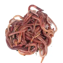 dzdzownice-do-kompostownika-5kg
