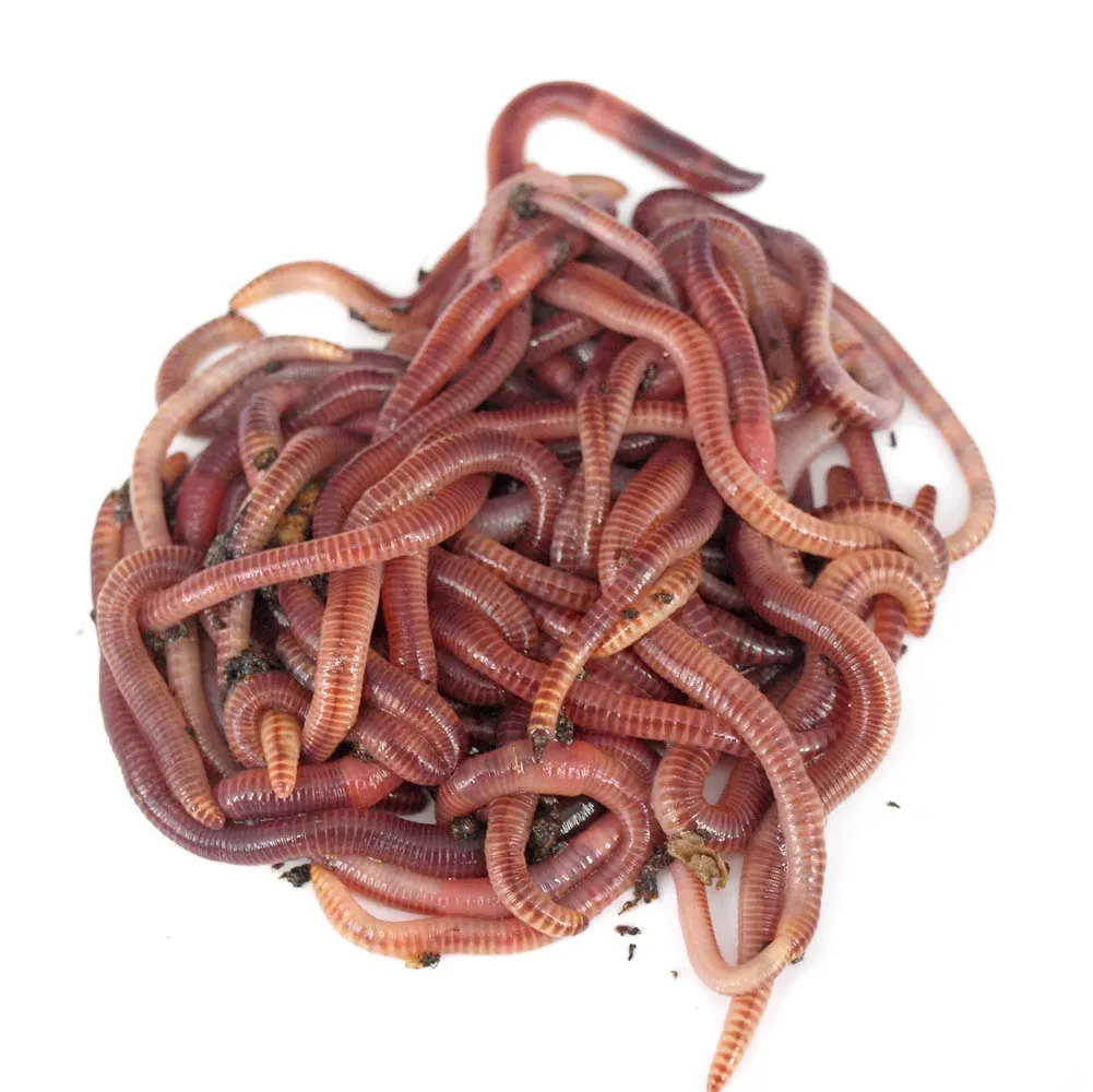 dzdzownice-do-kompostownika-5kg