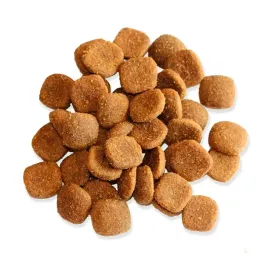 fitmin-dog-for-life-adult-large-breed-4kg