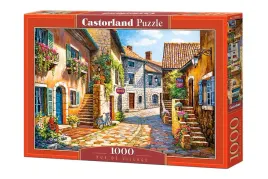 puzzle-1000-el-rue-de-village