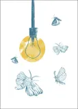 cmy-plakat-40x50-cm