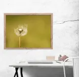 dmuchawiec-plakat-40x30-cm-stan-nowy