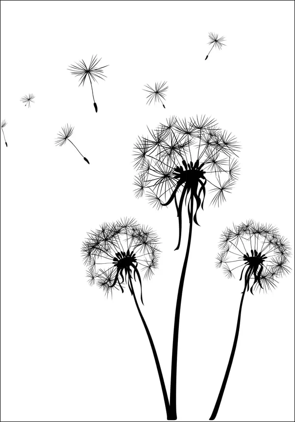dmuchawce-plakat-21x297-cm