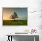 drzewko-plakat-30x20-cm-stan-nowy