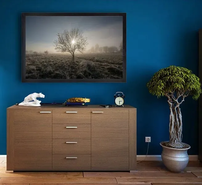 drzewo-plakat-80x60-cm-stan-nowy