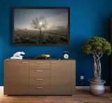 drzewo-plakat-80x60-cm-stan-nowy