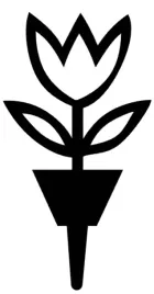 tulipan-w-donicy-wbijany-w-ziemie-wbijak-ogordowy