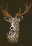 feathered-deer-plakat-594x841-cm