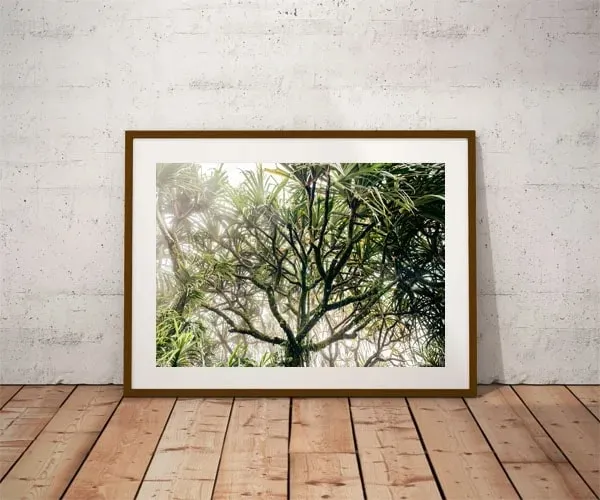 foggy-tree-plakat-841x594-cm