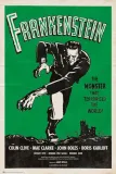 frankenstein-plakat-61x915-cm