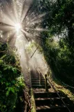 god-light-plakat-21x297-cm-stan-nowy