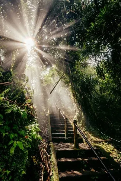 god-light-plakat-21x297-cm