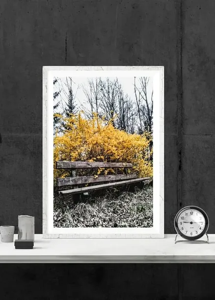 jesien-2-plakat-30x40-cm-stan-nowy