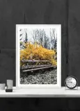 jesien-2-plakat-30x40-cm-stan-nowy
