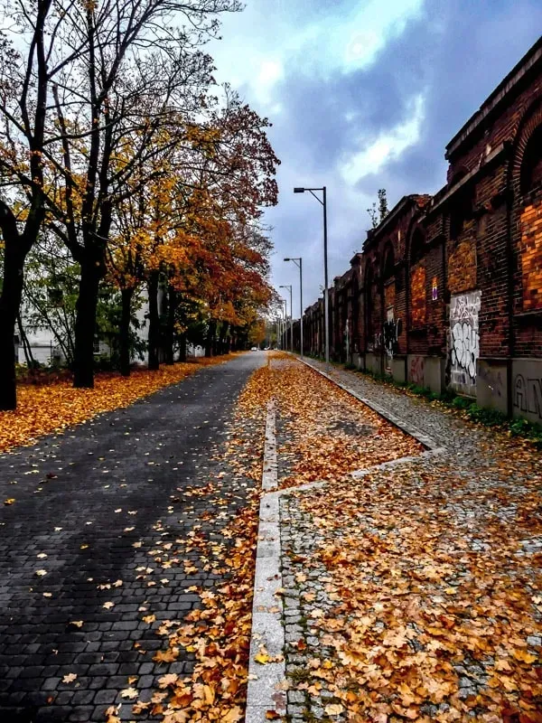 jesien-plakat-60x80-cm-stan-nowy